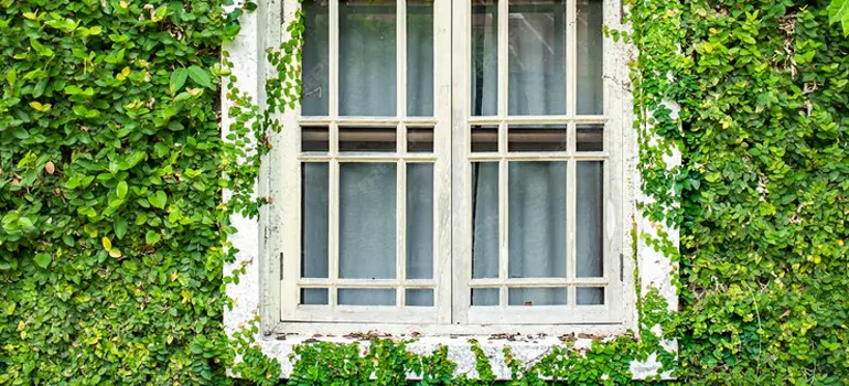 Garden Window Repair Near Me in Burlingame, CA