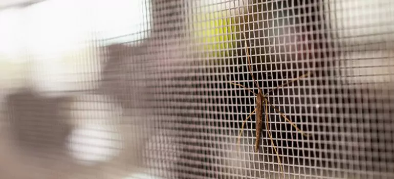 Repair Mosquito Mesh For Windows in Burlingame, CA