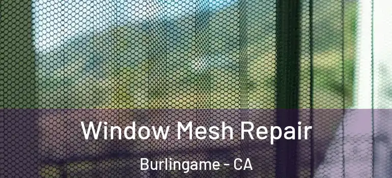  Window Mesh Repair Burlingame - CA