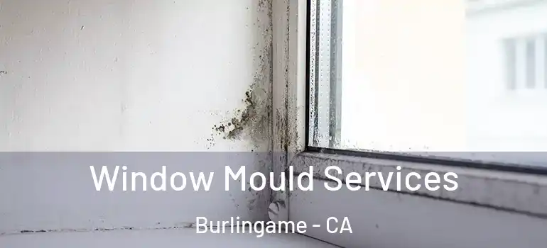  Window Mould Services Burlingame - CA